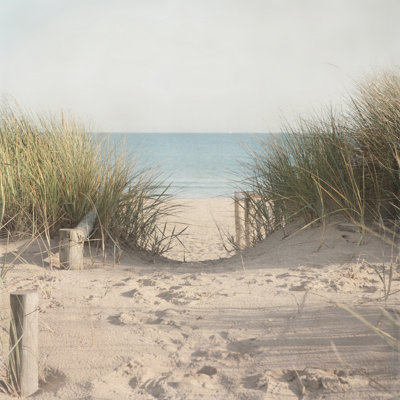 «Beach Grasses» par Pela Studio - reproduction sur toile tendue
