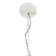 Lorsworth 3 - Light Seashell Dimmable Drum Chandelier