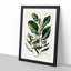 Griselinia Lucida Flowers by Sarah Featon - Picture Frame Painting Print-55620893-55620892