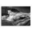 «Siren's Song 3 B&W» par Rick Berk, 16 po x 12 po