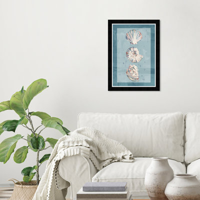 Coastal Sea Shells