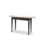 Toulouse 50'' W Glass Console Table