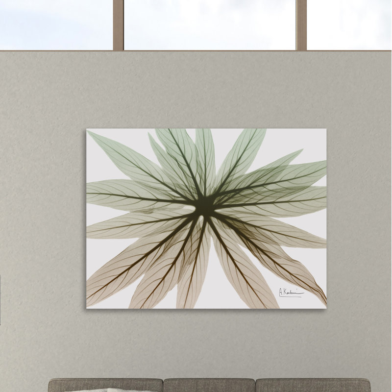 «Earthy Echium», toile tendue par Albert Koetsier, H 15 po x l 20 po x P 1,5 po
