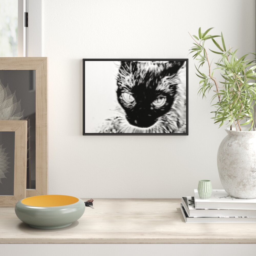 Gerahmtes Wandbild Schwarze Katze, Blaue Augen,