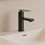 Robinet de salle de bain à un trou, robinet de salle de bain à poignée simple avec drain -113300763