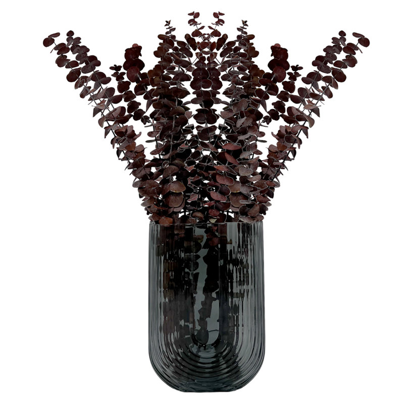 Ensemble de 4 bouquets d'eucalyptus séchés, Rouge