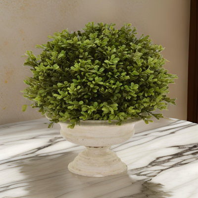 Cezalina Urn Planter