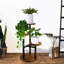 Plant Stand