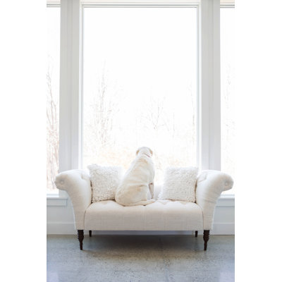 White Dog - Photographie sur toile tendue
