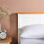 Berns Bed-2079505542