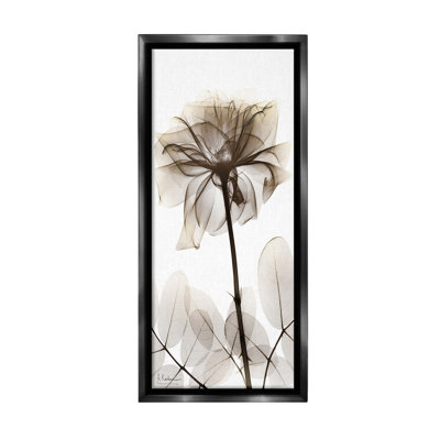 " Blooming Opaque Flower Floater Frame " by Albert Koetsier