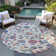 Machine Washable Indoor/Outdoor Chayden ACN1006 Rug