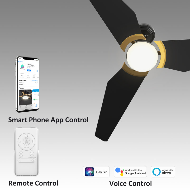 56" Smart DC Ceiling Fan with light, Remote control