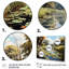 «Meadow Lily Oasis» sur toile-604448964-604448991