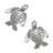 Turtle Small Knob (2-pack)-39948810-128273471-128273472