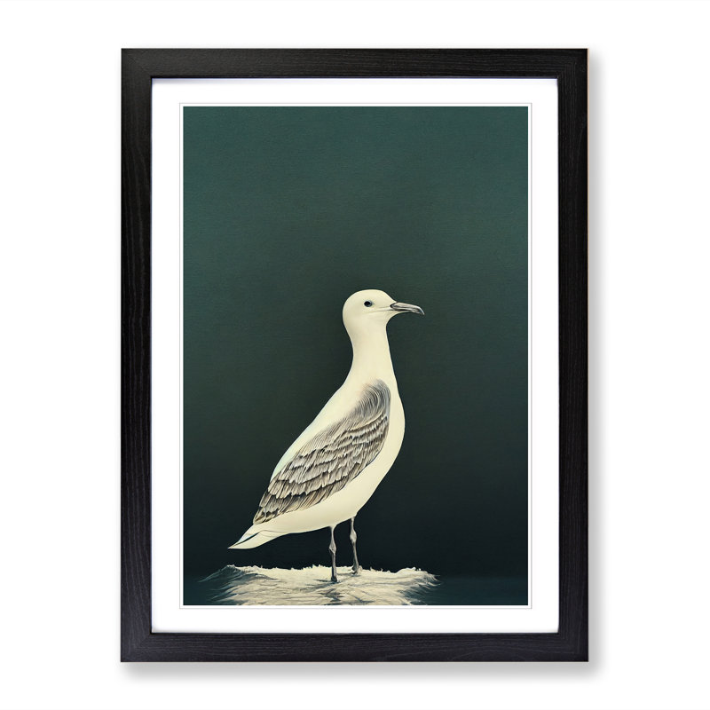 Seagull Portrait Vol.1 - Single Picture Frame Print, Black, 46cm H x 34cm W x 2cm D