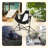 Folding Camping Chair-1833240488