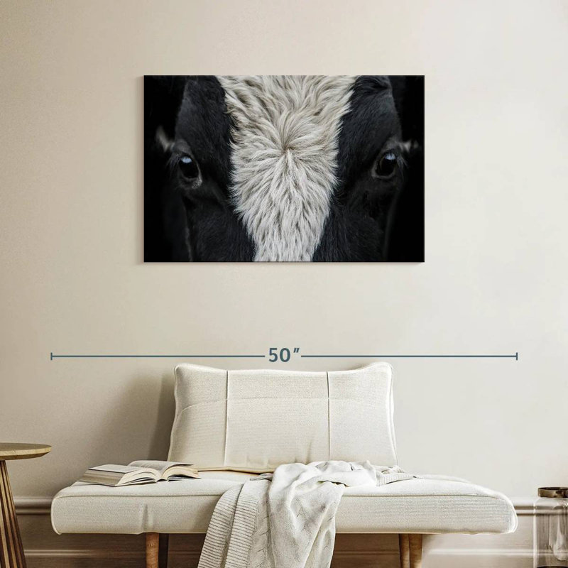 Yeux de vache Brampt, H 24 po x l 36 po