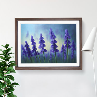 Bluebell Flower Vol.1 - Single Picture Frame Print