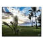 Waui maui-toile tendue, reproduction de photo sur toile tendue-22613227