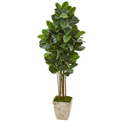 63'' Faux Rubber Leaf Tree in Planter