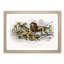 Lion, Tiger, Leopard and Jaguar by Oliver Goldsmith - Picture Frame Painting Print-55580685-55580688