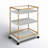 Ellie Bar Cart with Metal Outer Material-986371663
