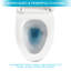 Toilette en céramique blanche avec système puissant et couvercle à double chasse confortable