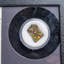 Genuine Ammolite Fossil In A Glass Display Box