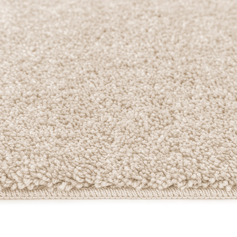 Modern Shaggy Rug Soft Fluffy Beige Carpet Non Slip Large Small Area Rug For Living Room Bedroom Hallway Floor Mat