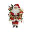 Believe Santa