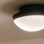 Zabir Glass Flush Mount-1161363038