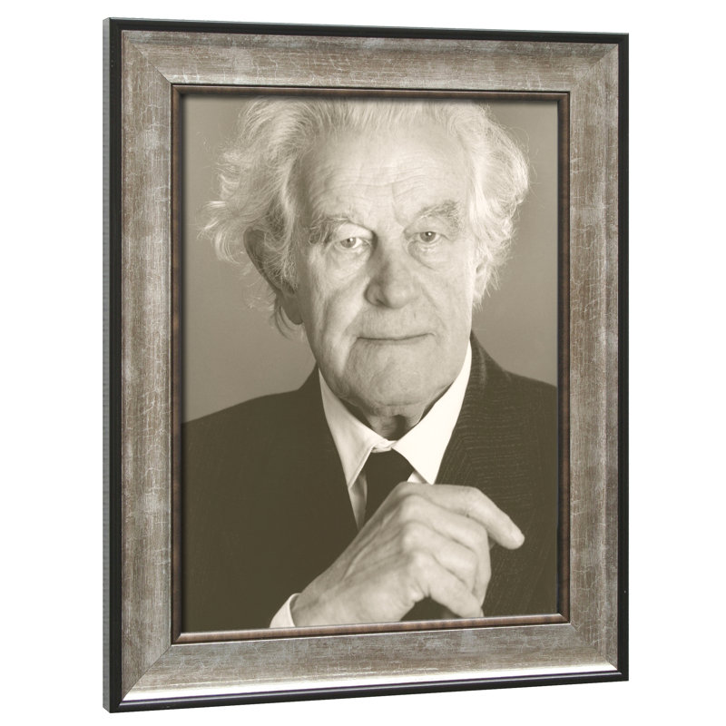 Silver Wood Matte Picture Frame, 15.75" x 23.62", Silver/ Black