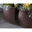 Plastic Tree Collar-34855015