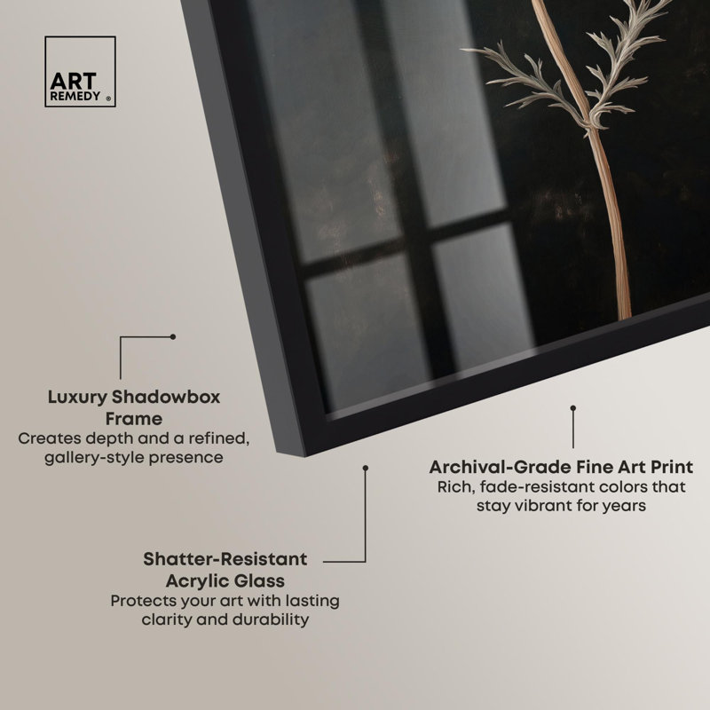 «Darkling Floret I Shadowbox Print Farmhouse» par Art Remedy, H 25 po x l 21 po, Noir