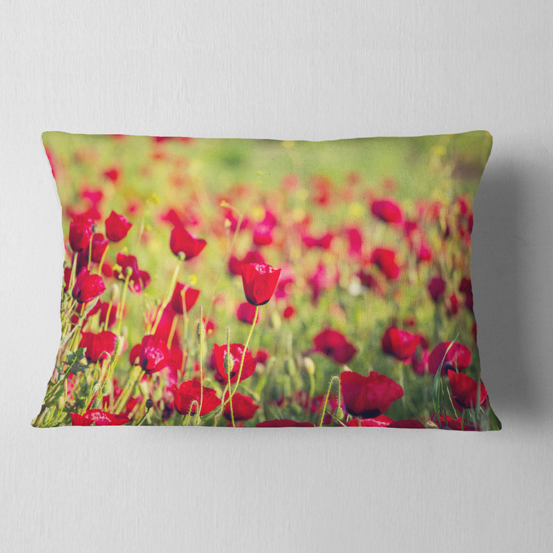 Magnifique fond de coquelicots - Coussin décoratif imprimé floral