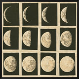 Phases Of The Moon Print