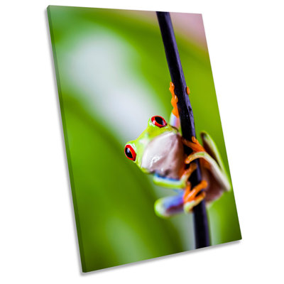 Frog Tree Wildlife - Wrapped Canvas Print