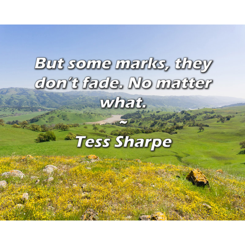 Artsy Quote "But some marks, they don’t fade. No matter what." By Tess Sharpe Gallery Wrapped Canvas, 17" H x 24" W
