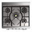 Majestic III Series 30 Inch Dual Fuel Range with 5 Sealed Burners in Emerald Green (Natural Gas, Burnished Trim)-1045611448-1045611451-1045611454
