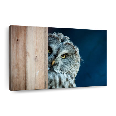 Peeking Owl - impression sur toile tendue