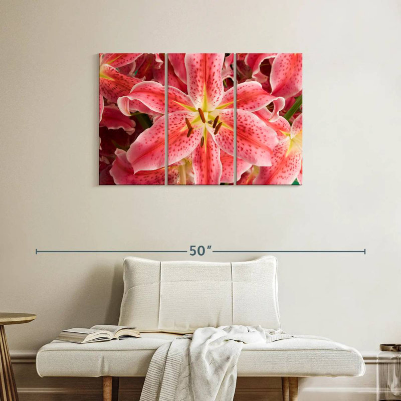 Fleurs de lys Harnek Stargazer, H 24 po x l 38 po