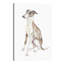 «Italian Greyhound», reproduction sur toile-31855875-73203674-73198089