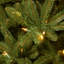 The Holiday Aisle® Natural Fraser Medium Fir Tree with Clear Lights-579344404