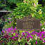 Fairy Personalized Garden Sign-535812993-533939842