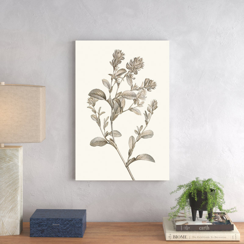 Neutral Botanical Study II by Vision Studio - Painting Print, 76cm H x 51cm W, Wrapped Canvas