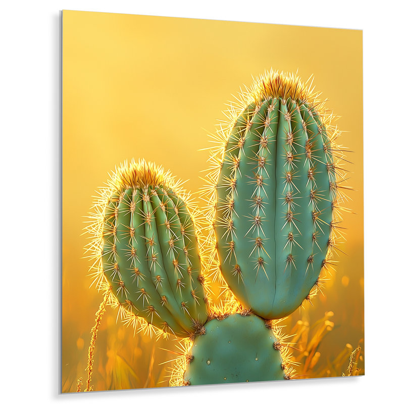 Marrin - Cactus, impression sur métal, H 20 po x l 12 po