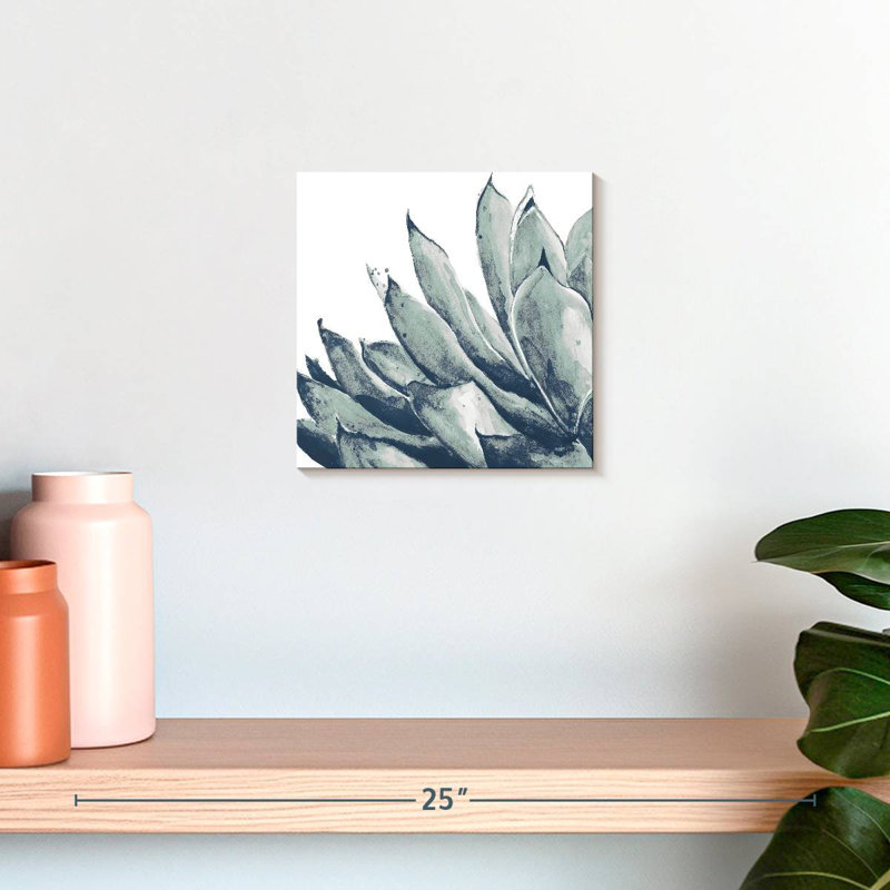Agave bleu Harnek sur fond blanc I, H 10 po x l 10 po
