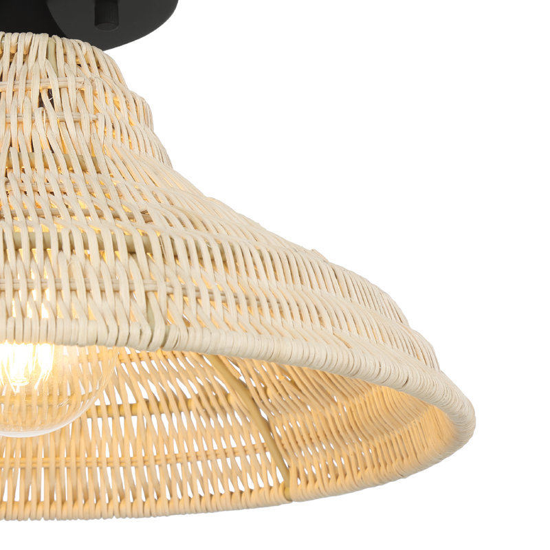 Hunter Agoura 1 Light Medium Flush Mount Ceiling Light Fixture