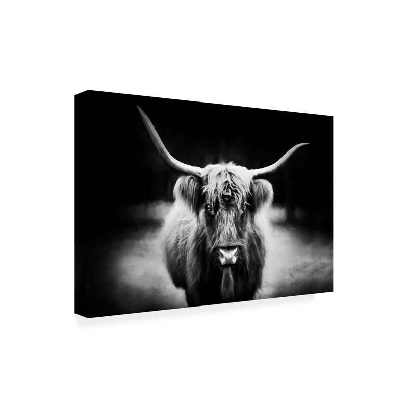 Art photographique, "Highland" sur toile par PHBurchett, H 12 po x l 19 po x P 2 po